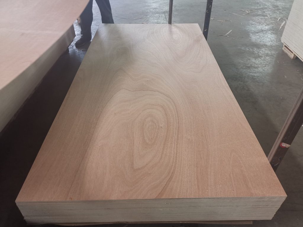 Formwork Plywood