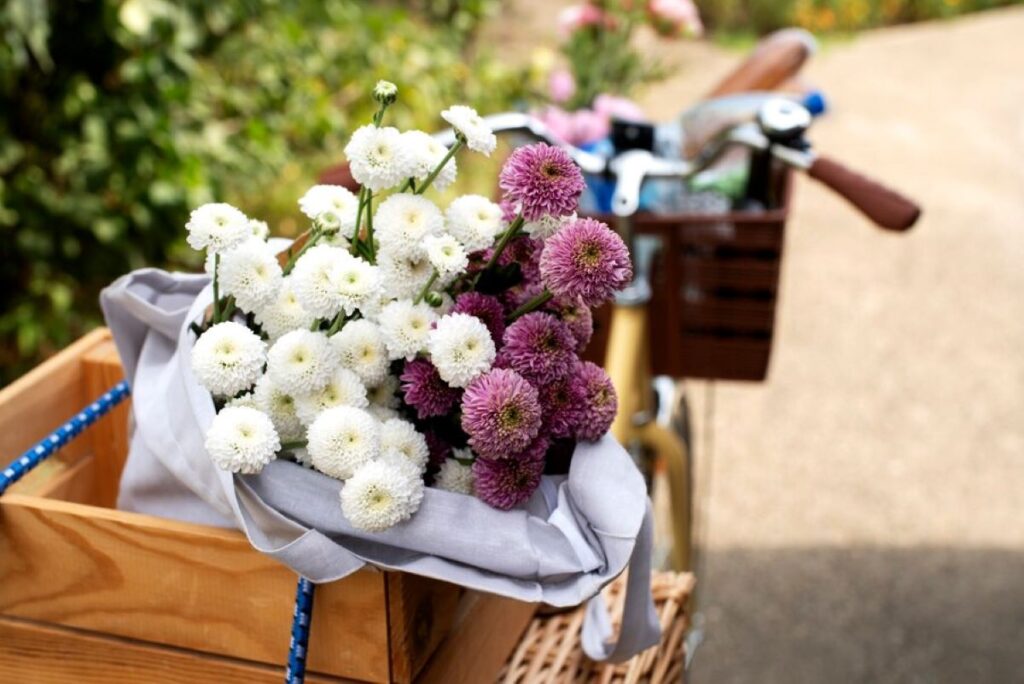 flower delivery lane cove
