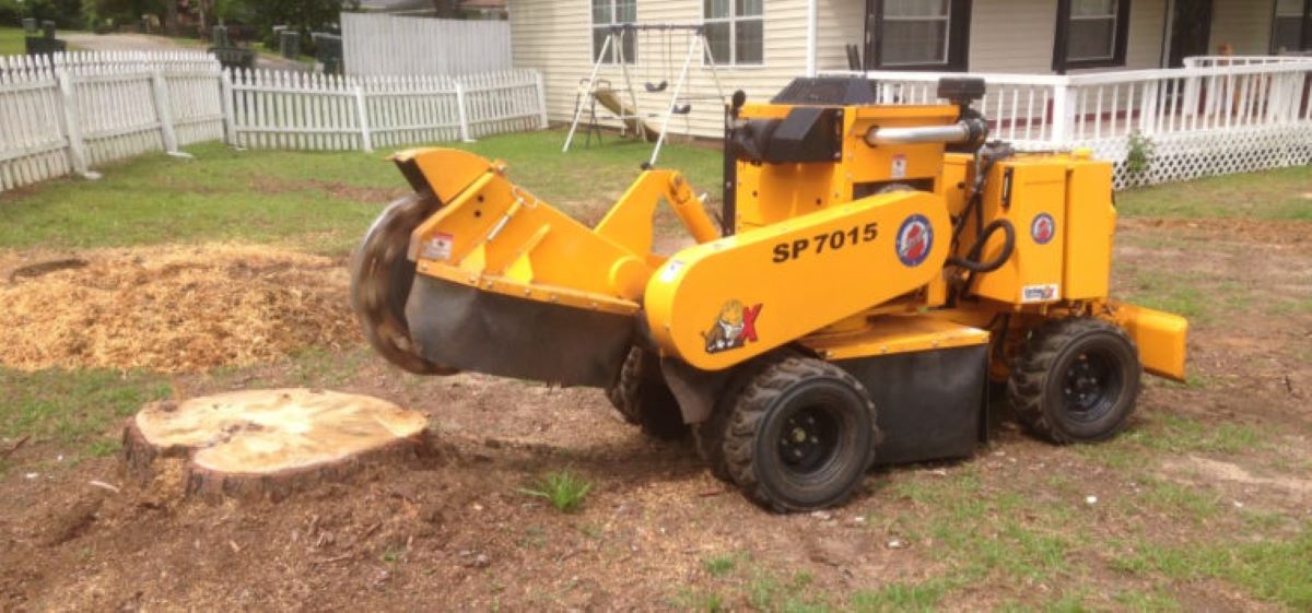 Professional Stump Grinding in Northern Beaches Explained