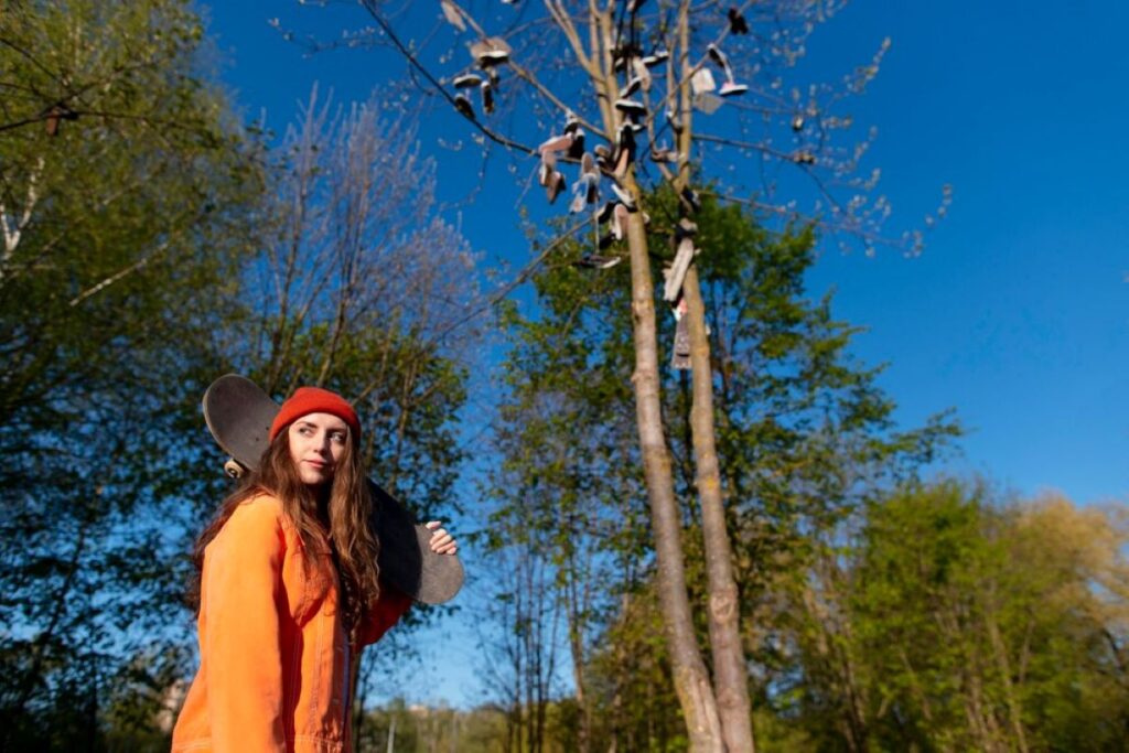 arborist sydney eastern suburbs